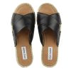 Women'S Footwear Steve Madden | Zapper